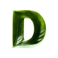 Green leaf typography text design uppercase alphabet D, photo