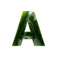 Green leaf typography text design uppercase alphabet A, AI Generative photo