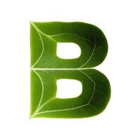 Green leaf typography text design uppercase alphabet B, AI Generative photo