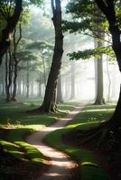 A landscape of enchanted forest tree and ethereal glow sunlight, photo