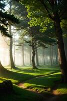A landscape of enchanted forest tree and ethereal glow sunlight, AI Generative photo