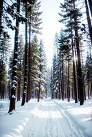 Realistic photo landscape of winter snow forest
