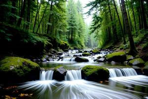Realistic photo landscape of green tree forest and creek