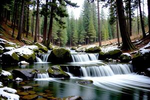 Realistic photo landscape of green tree forest and creek,