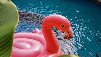 verano vacaciones divertido gracioso rosado flamenco flotador en un nadando piscina de moda verano concepto foto