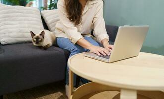 woman working from home with cat. cat asleep on the laptop keyboard. assistant cat working at Laptop photo