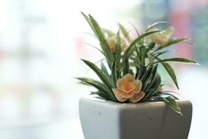 Wooden table with plant. photo