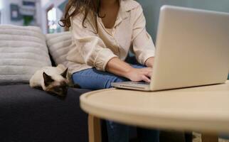 woman working from home with cat. cat asleep on the laptop keyboard. assistant cat working at Laptop photo