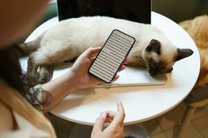 mujer trabajando en teléfono desde hogar con gato. gato dormido en el ordenador portátil teclado. asistente gato trabajando a ordenador portátil foto