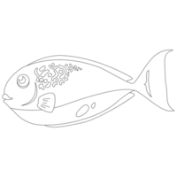 Bluehead Fish 2D Outline Illustrations png