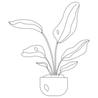 Strelitzia Nicolai Plant Outline 2D Illustrations png