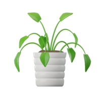 filodendro planta 3d ilustraciones png