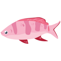 rosa fisk 2d Färg illustrationer png