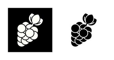 Berries Vector Icon