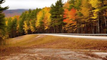 Exploring the Speedway in the Enchanting Autumn Forest. Generative AI photo