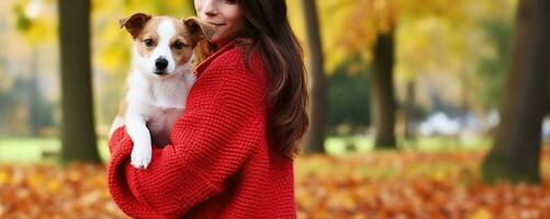 Attractive young woman with long brunette hair, wearing oversized red sweater in park her Jack Russell Terrier puppy, yellow leaves on the ground. Generative AI photo