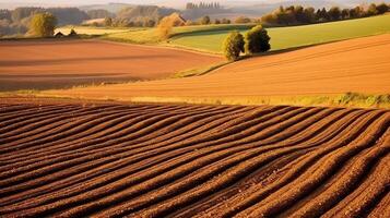 Fertile Grounds, Revealing the Beauty of a Newly Plowed Field. Generative AI photo