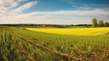 vasto agrícola campo panorama pintura el paisaje. generativo ai foto