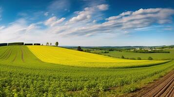 Agricultural field panorama. Generative AI photo