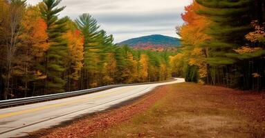 Speedway in autumn forest. Generative AI photo