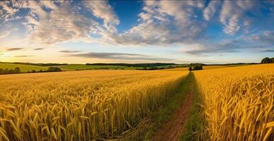 fascinante Mañana panorama de un vasto trigo campo. generativo ai foto