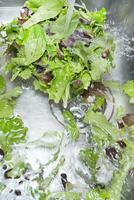 Wash the salad greens photo
