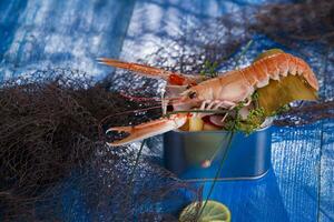 a shrimp in a container with a lime on a blue table photo