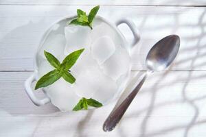 ice cubes in a bowl with a leaf on top photo