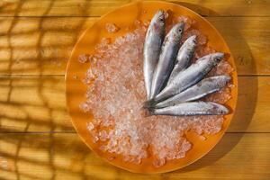 a plate of sardines on ice photo