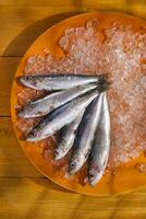 un plato de sardinas en hielo foto