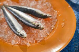 Fresh anchovies on a bed of ice photo