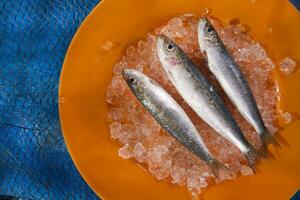 anchoas frescas sobre una cama de hielo foto