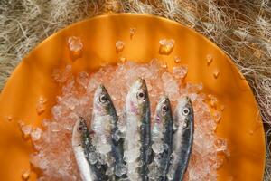 Fresh anchovies on a bed of ice photo