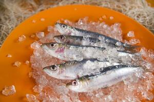 anchoas frescas sobre una cama de hielo foto