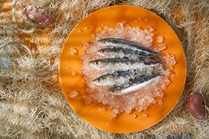 Fresh anchovies on a bed of ice photo