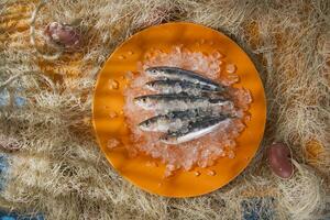 Fresh anchovies on a bed of ice photo