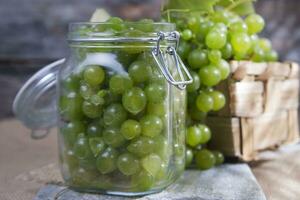 Bunch of grapes photo