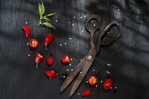 Cut the red pepper photo