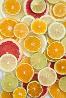 The colors of citrus fruits photo