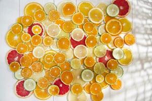 The colors of citrus fruits photo