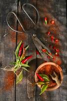 a pair of scissors and a bunch of chili peppers photo