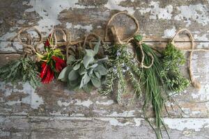 a bunch of herbs hanging on a wall photo