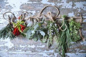 a bunch of herbs hanging on a wall photo