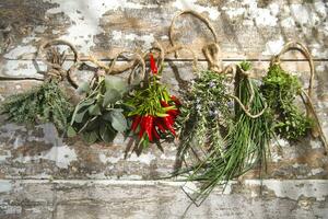 a bunch of herbs hanging on a wall photo