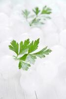 a pile of ice cubes with parsley leaves on top photo