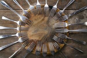 Series of Forks photo