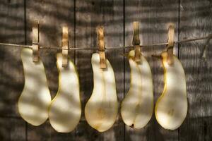 a group of five white peaches hanging on a clothesline photo