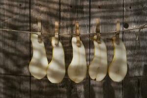 a bunch of bananas hanging on a clothesline photo