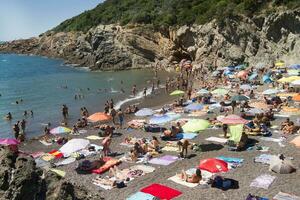 un arenoso playa con muchos personas foto