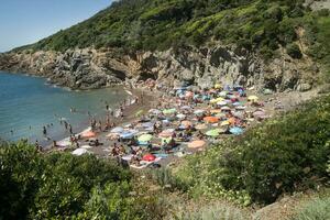 a sandy beach with many people photo